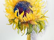 A10Commended ,Sunflower - Sue Brereton
