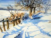 S10PETER COATMAN TROPHY (RU) Di Bown - Winter Fields