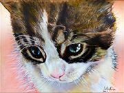 S11COMMENDED - kitten Interrupted, L Hutchinson