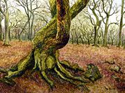 S12COMMENDED - 'Woodland Tree' by Lorraine Bessant