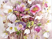 S13COMMENDED - 'Hellebores' by veronica McDermott