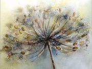 S13COMMENDED - 'Hogweed' by Sue Brereton