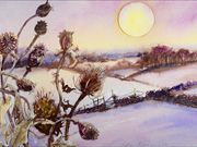 S13COMMENDED - 'Sunrise on Snow' by Sylvia Kenyon-Case
