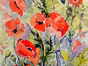 s15COMMENDED - 'Poppies' by Judith Durrant