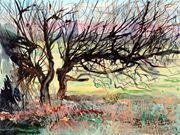 S17COMMENDED' 'Old Hawthorn Hedge'by Pauline Marsh