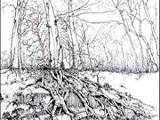 s19BASIL MORRISON ROSEBOWL (RU) 'Root and Branch' by Will Swindlehurst