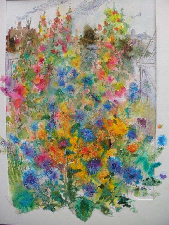 Allotment  Colour