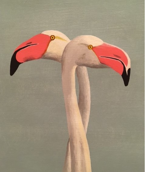 flamingoes