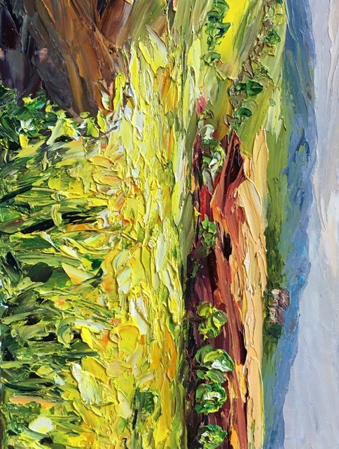 Sunflowers field in Marche Italy