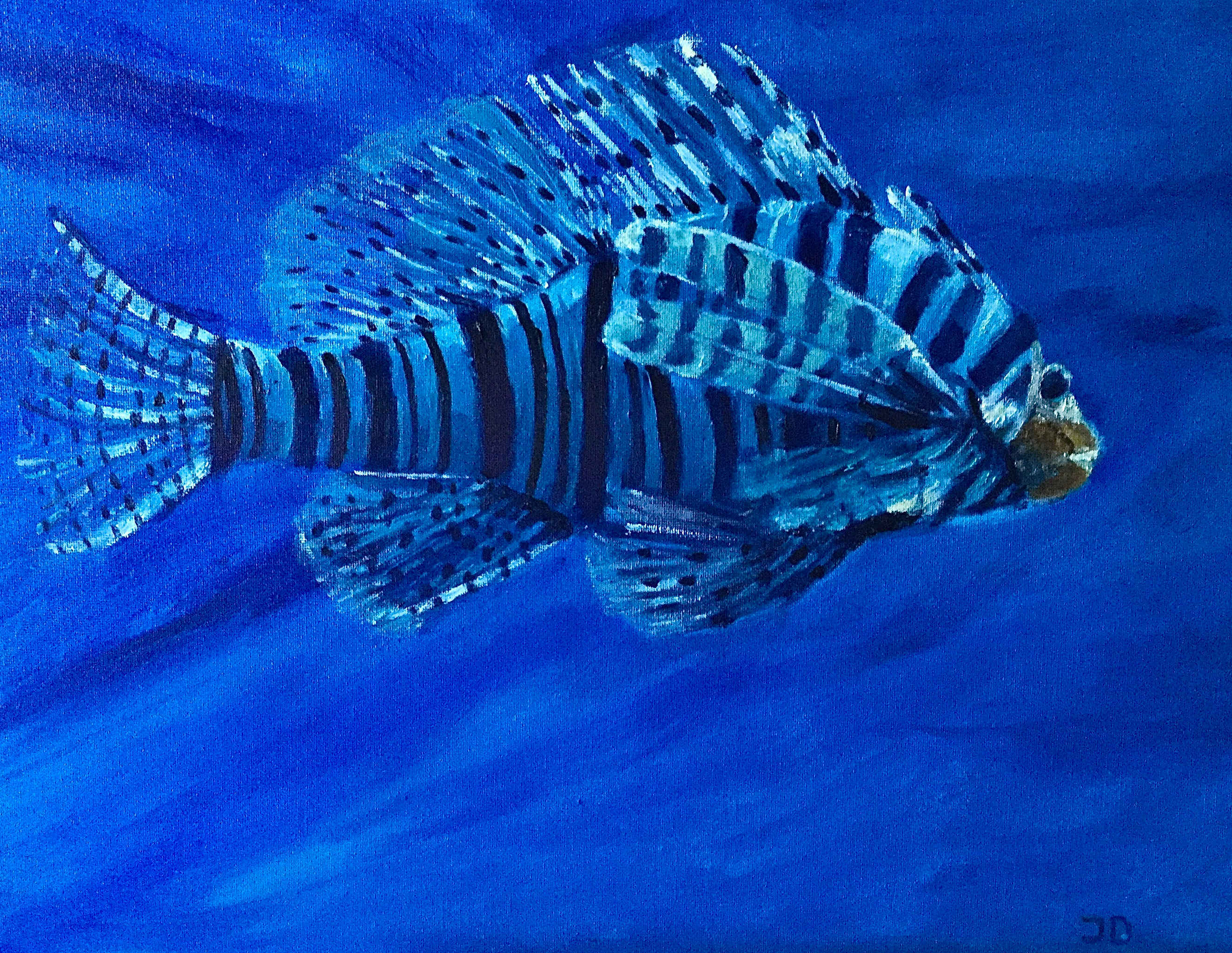 Lion Fish