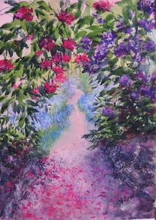 Walk to Bluebell Woods Rode Hall