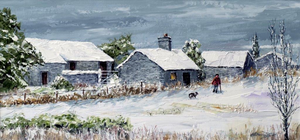 Anglesey Farm Buildings in Winter