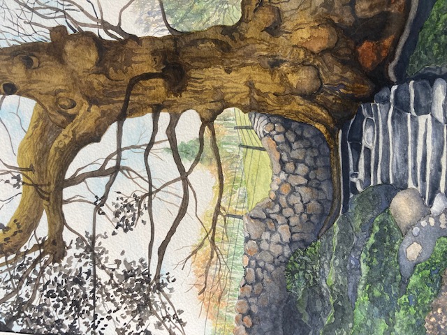 The Old Oak at Aira Force